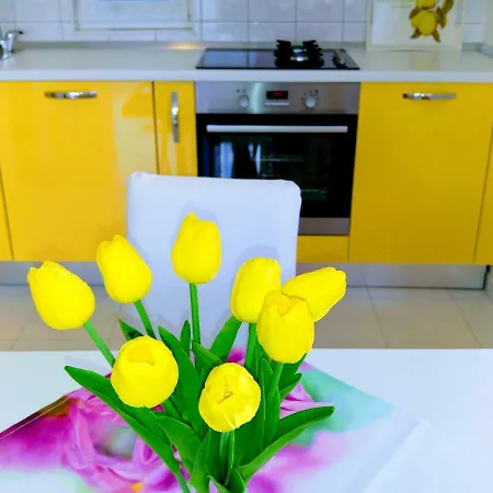 Apartment Roza